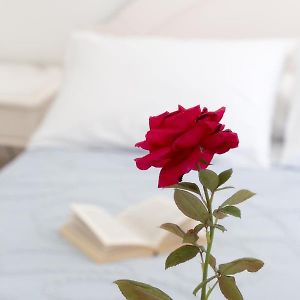 Chambre Classique Quadruple